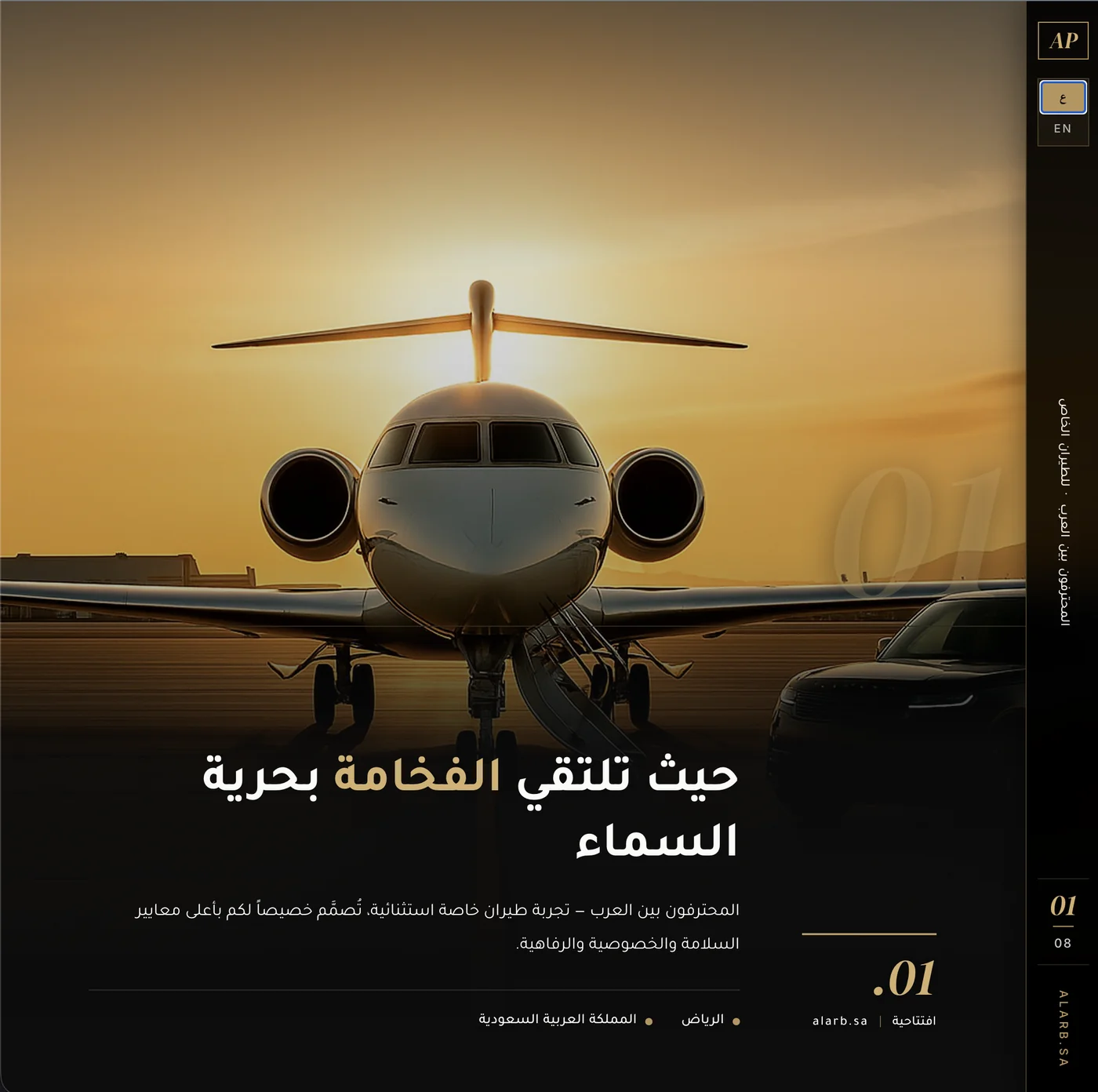 المحترفون بين العرب - طيران خاص